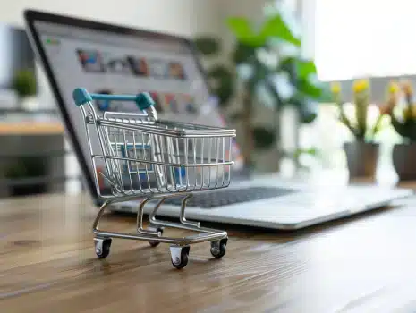 eCommerce Consulting Service (5 Hours)