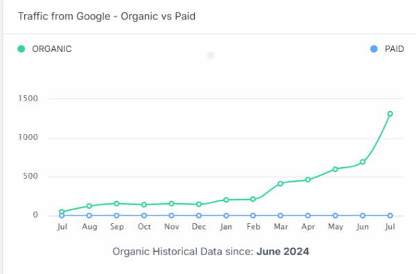 SEO Results Chart